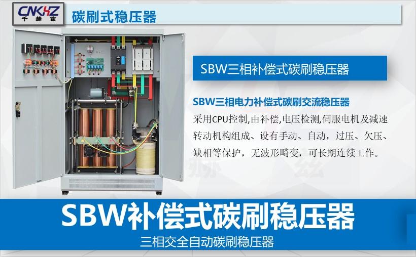 碳刷式穩壓器.JPG